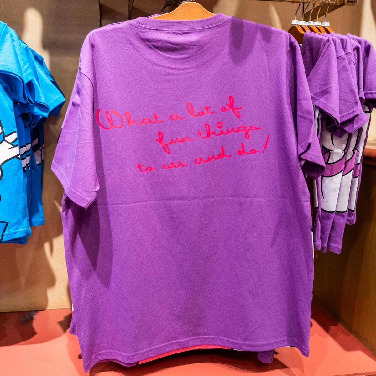 サングラスデイジーTシャツ1