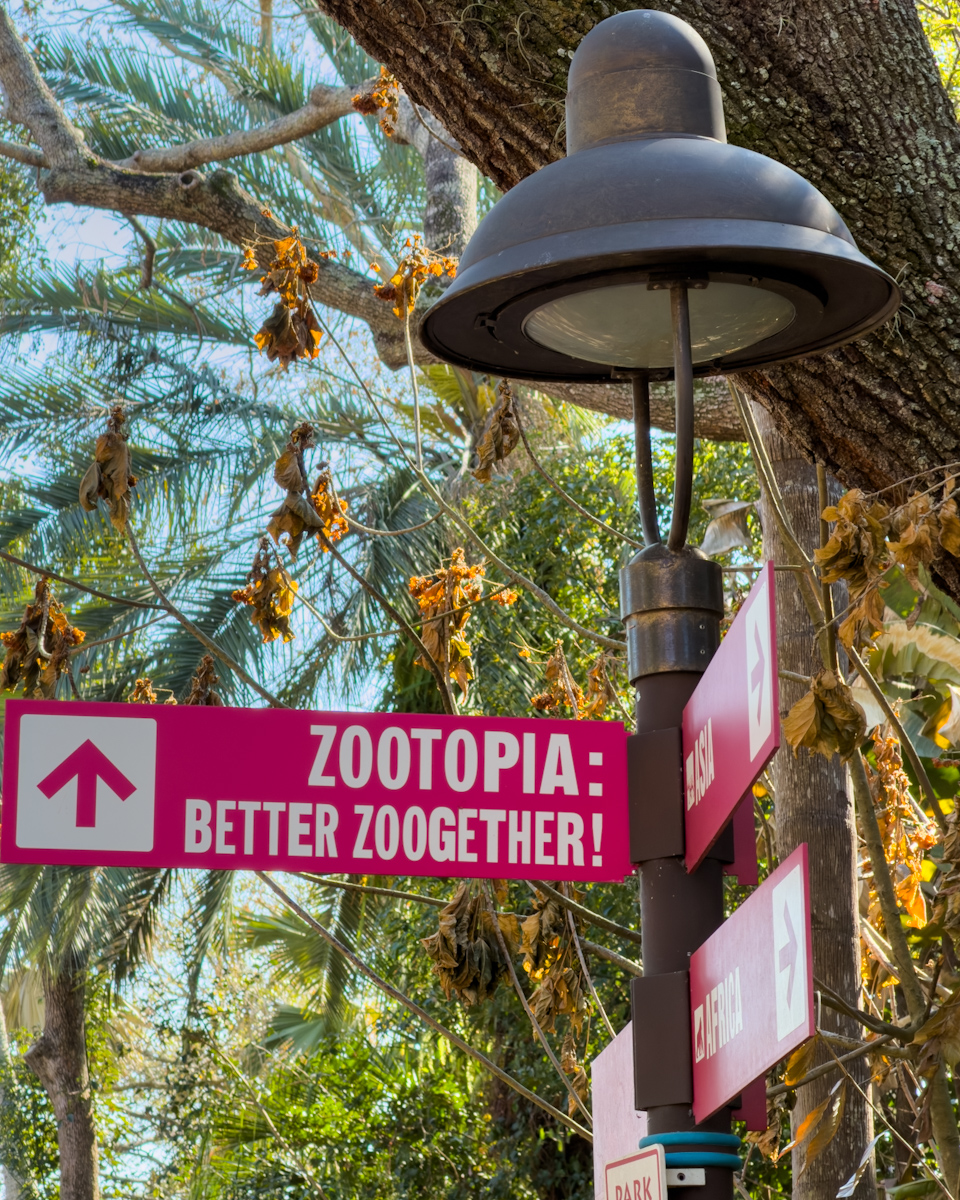 「ズートピア:ベター・ズーゲザー!」看板