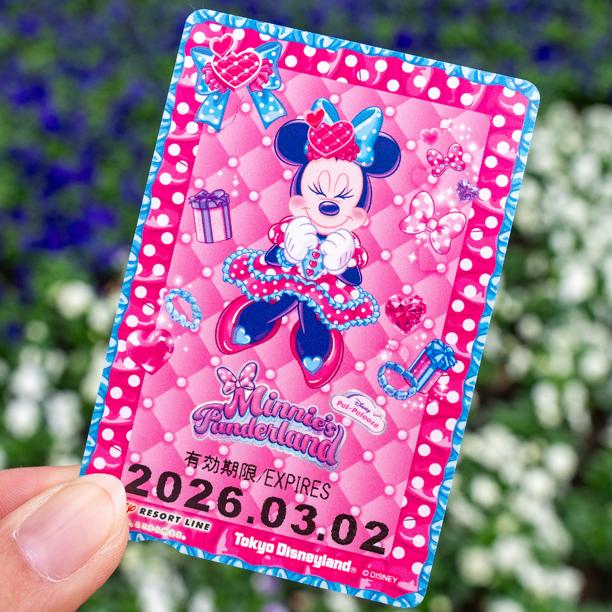 ディズニーリゾートライン「ディズニー・パルパルーザ“ミニーのファンダーランド”」デザインフリーきっぷ（ミニーの日デザイン）紹介