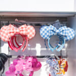 東京ディズニーランド2026カチューシャ・お土産