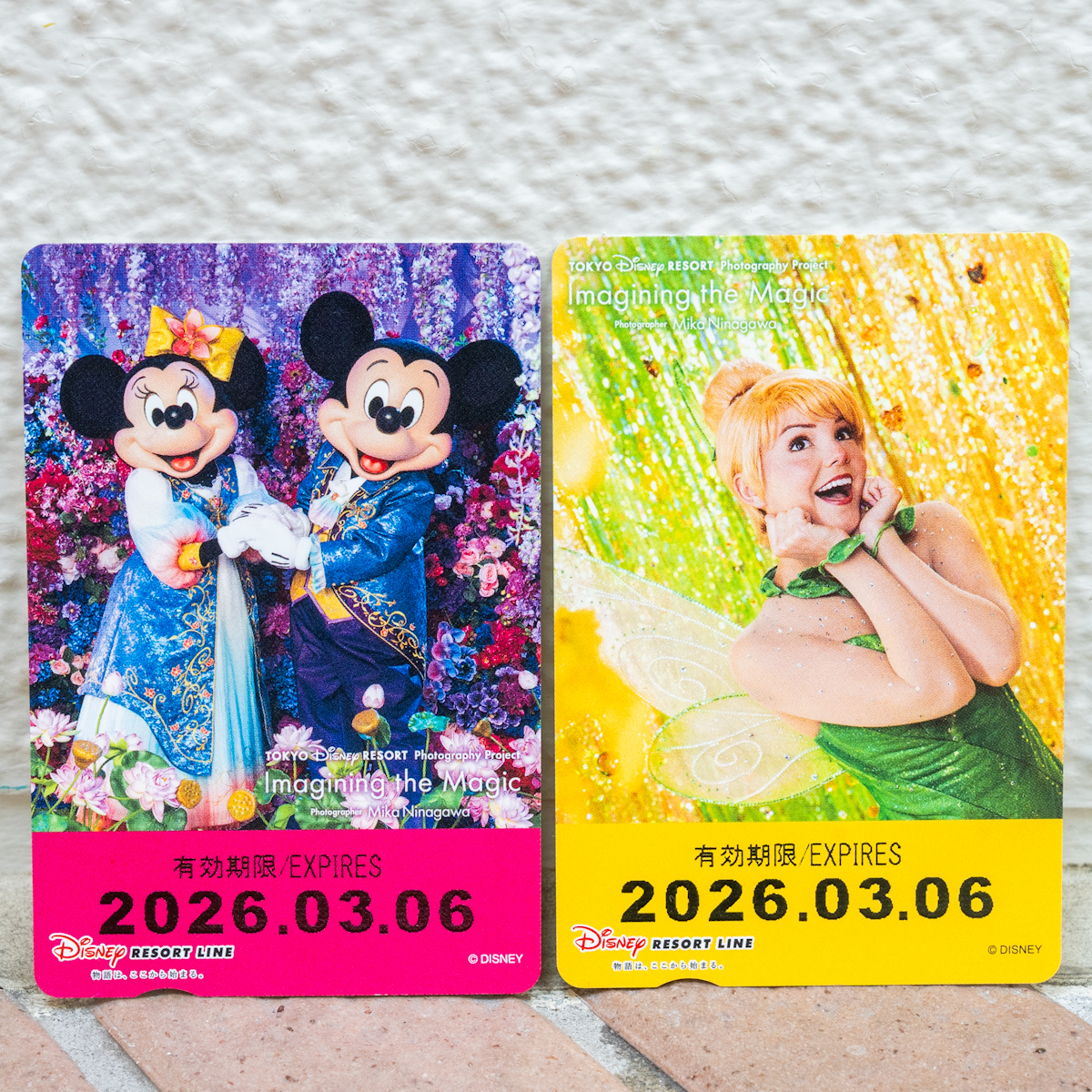 東京ディズニーリゾートライン「イマジニング・ザ・マジック」フリーきっぷ（ミッキー＆ミニー・ティンカー・ベル）