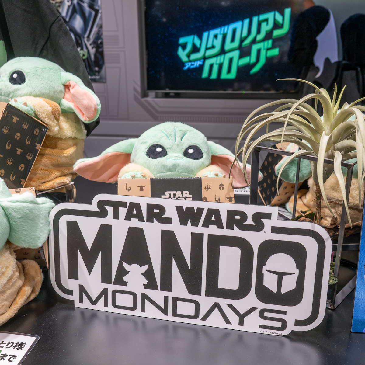 マンドマンデー