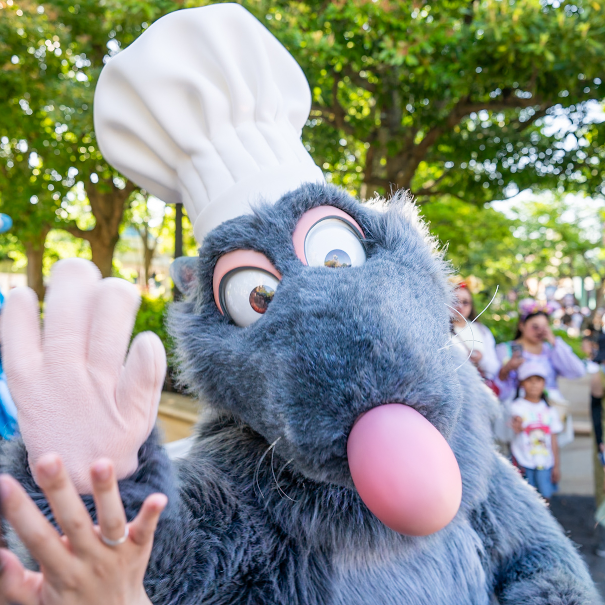 東京ディズニーシー レミーフリーグリーティング2026