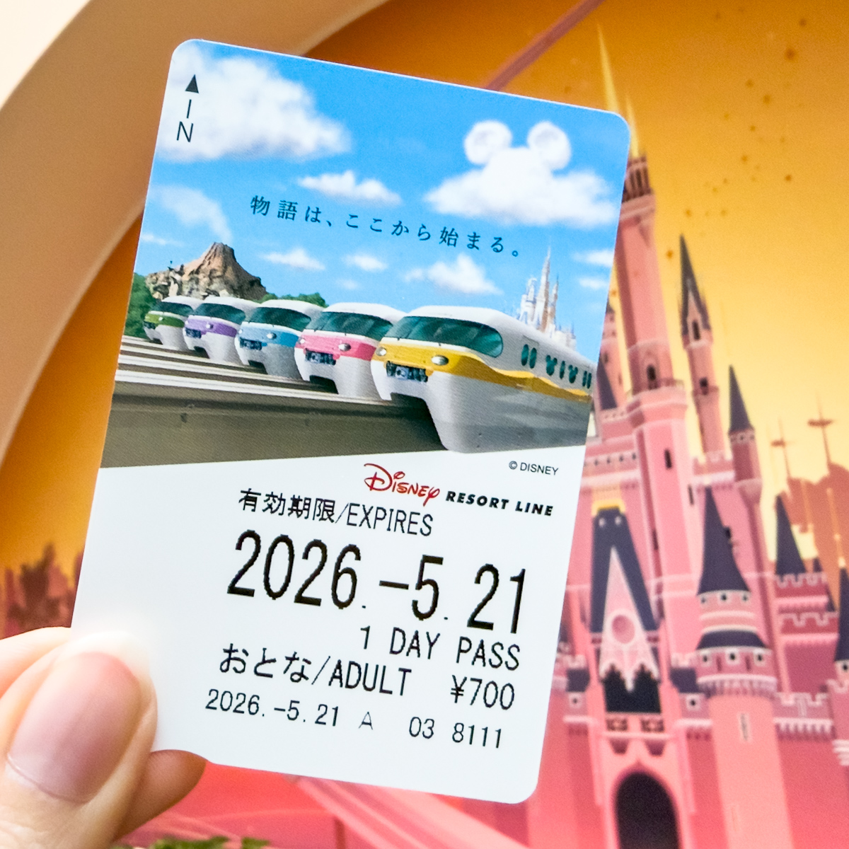 ディズニーリゾートライン　磁気乗車券最終日　フリーきっぷ