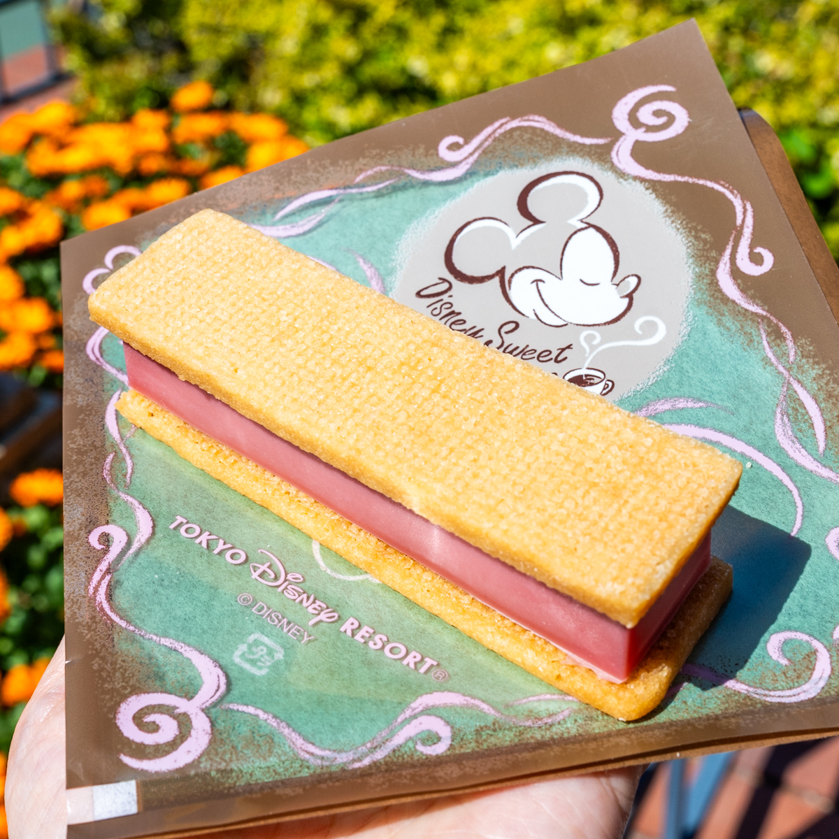 ラズベリーガナッシュサンド