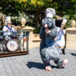 「東京ディズニーシー・フード＆ワイン・フェスティバル」ザ・グルーヴィー・ジャミン・シェフズ　レミー