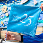 ポートディスカバリーフラッグ