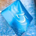 TDS25周年フラッグ