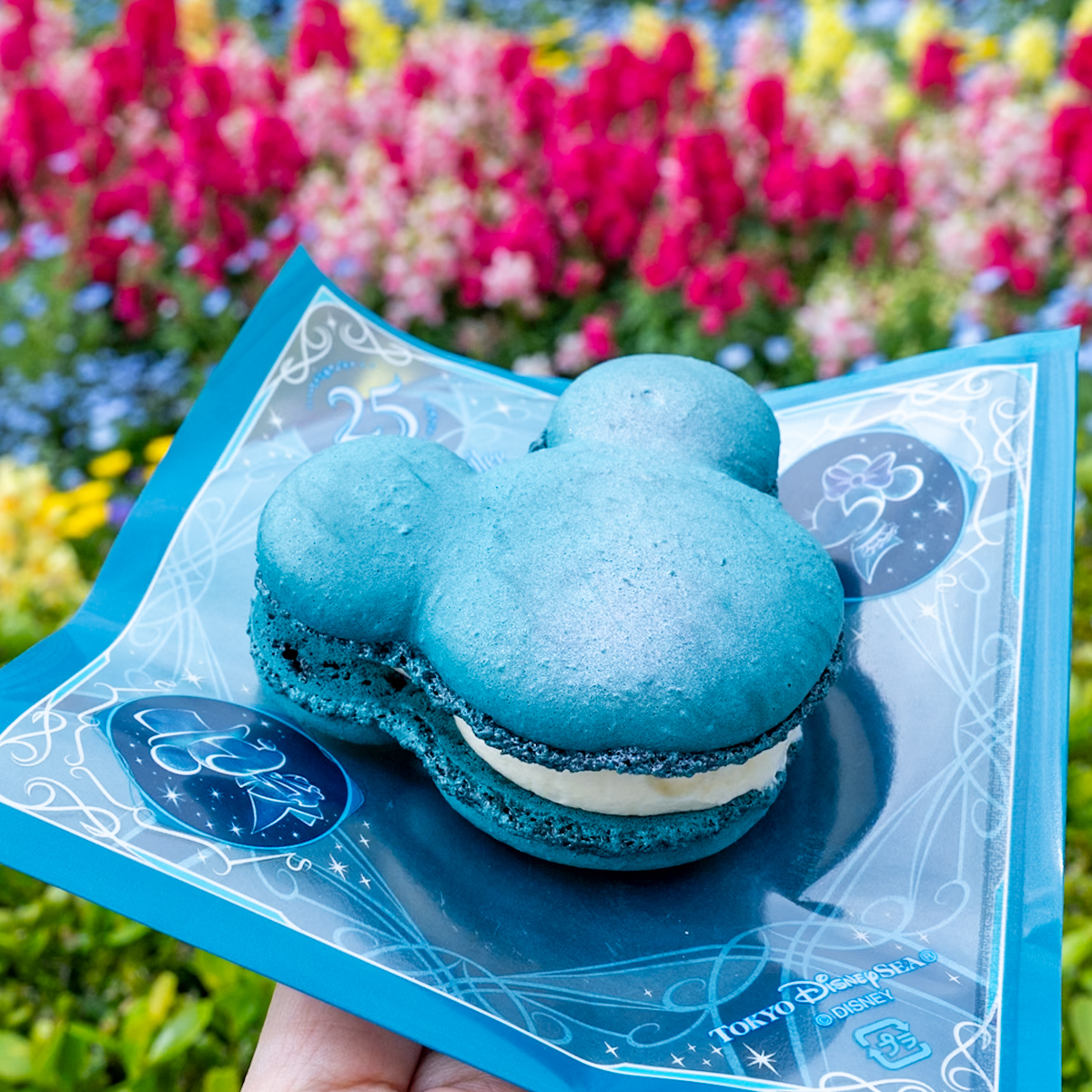 スーベニアケース付き！「東京ディズニーシー25周年“スパークリング