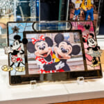 ステンドグラスデザイン！東京ディズニーランド「ガラスの靴」フォトフレーム（ミッキー＆ミニー）
