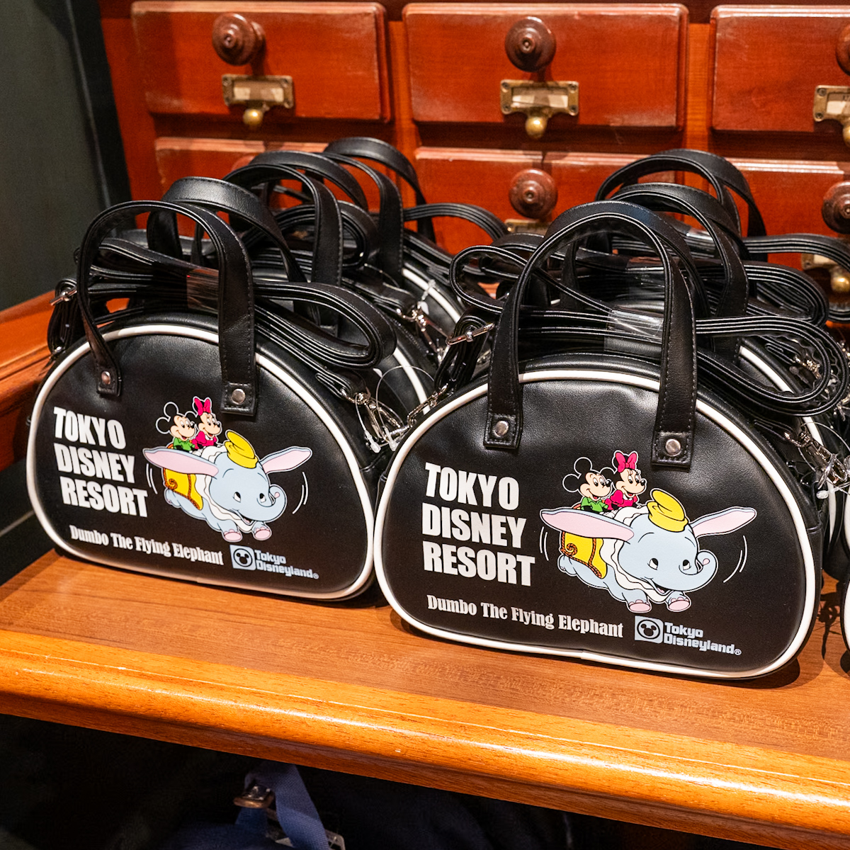 東京ディズニーランド　ショルダーバッグ