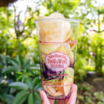 「東京ディズニーシー・フード＆ワイン・フェスティバル」スペシャルメニュー2