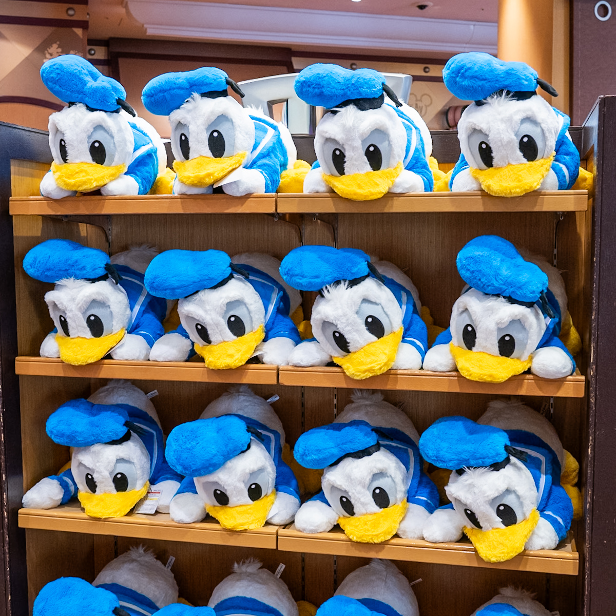 東京ディズニーランド　ドナルドダックだきぬいぐるみ・お土産