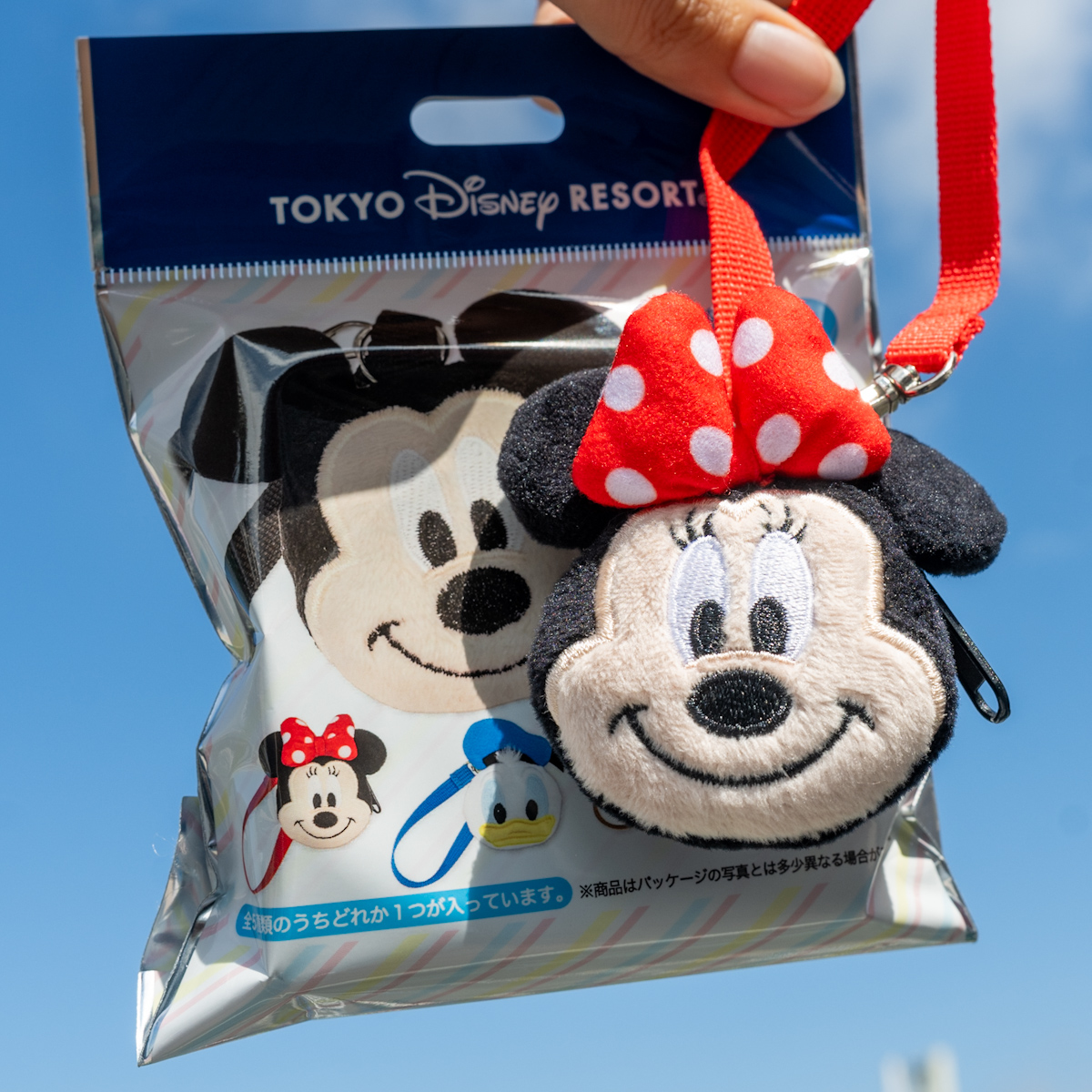 東京ディズニリゾート ミッキー＆フレンズキーチェーン（ランダム）