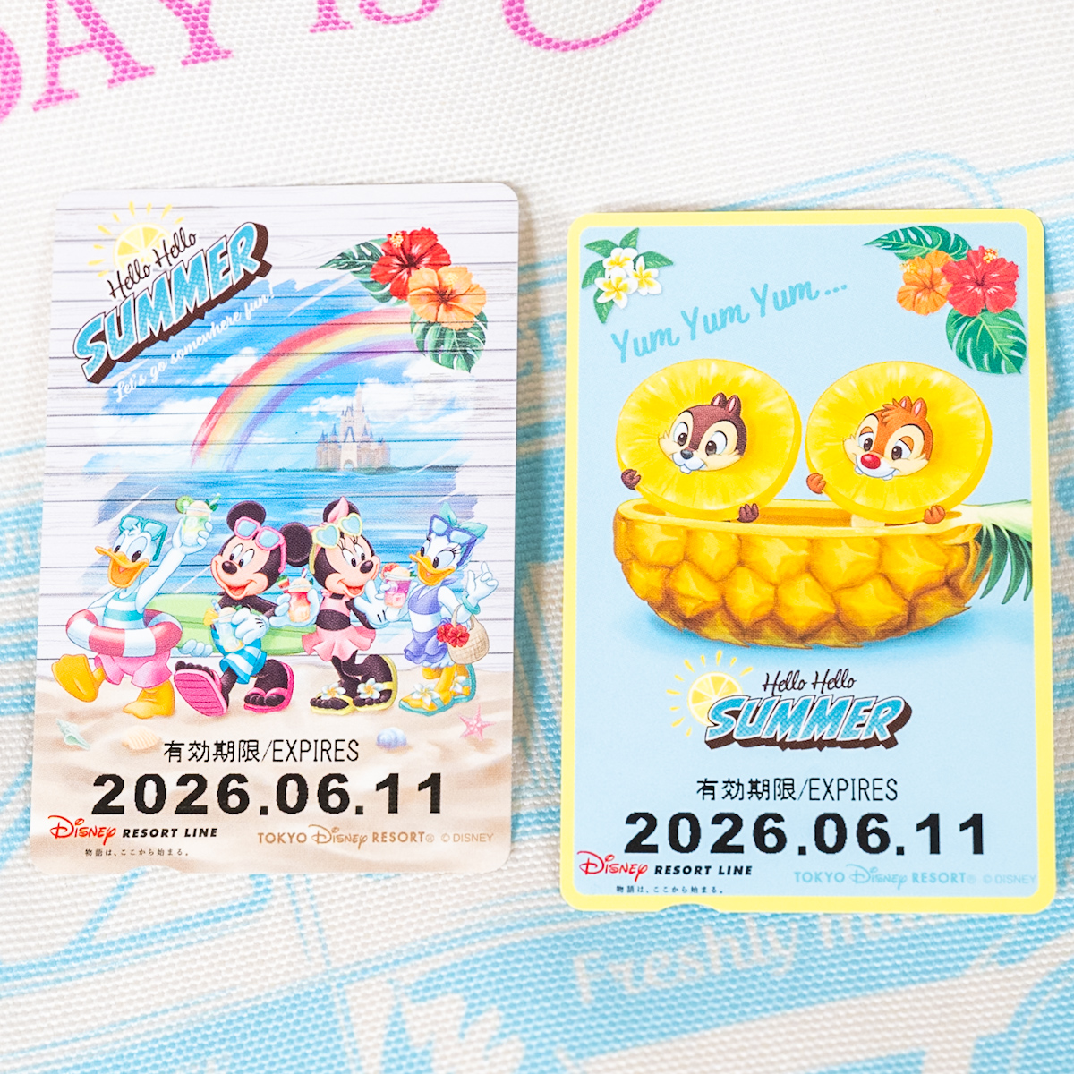 ディズニーリゾートライン 「Hello Hello Summer」デザインのフリーきっぷお土産