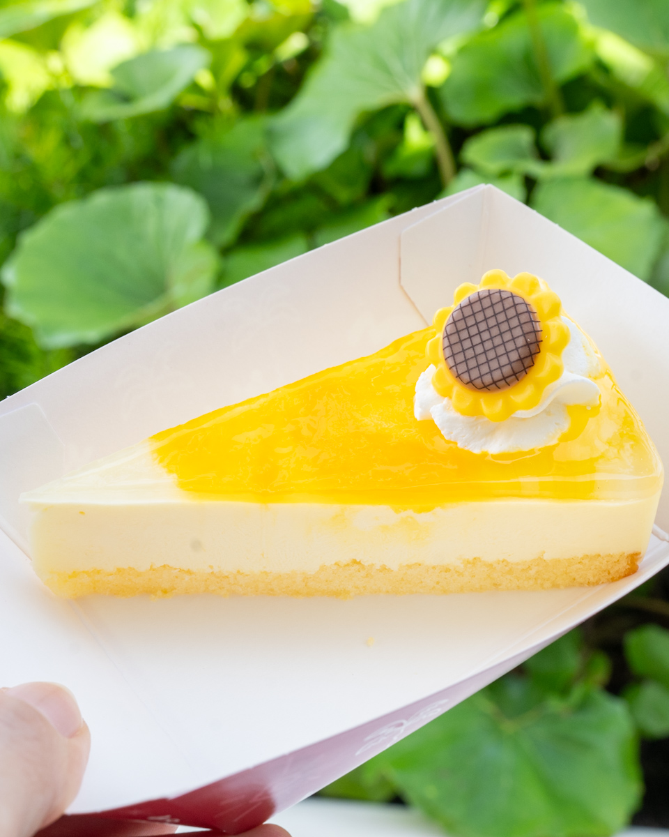 ヒュウガナツレアチーズケーキ