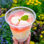 東京ディズニーシー「ザンビーニ・ブラザーズ・リストランテ」ピーチ＆レモンのグラニータ5