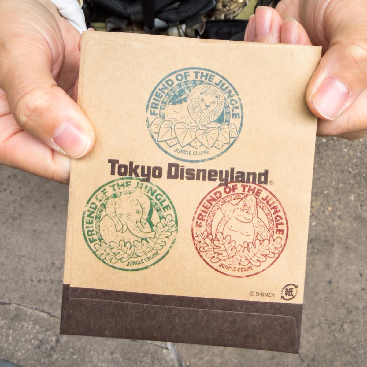 東京ディズニーランド「ジャングルクルーズ：ワイルドライフ・エクスペディション」“ジャングルで一番大切なことを伝えるツアー”を実施1